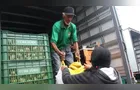 Feira Verde estará no 'São Francisco' e mais 13 vilas de PG hoje; confira sua rua