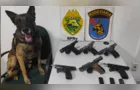 Mulher é presa transportando armas contrabandeadas em Piraí do Sul