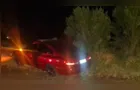 Acidente com animais na pista mata menino de 10 anos na PR-456