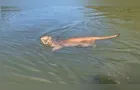 Onça-parda é flagrada atravessando rio a nado em Santa Catarina