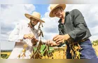 Sicredi libera R$ 72,1 bilhões em crédito rural no Plano Safra 2026/2027