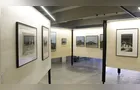 Exposição de Calderari segue até novembro no Museu Satélite em PG