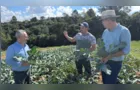 Câmara de Ponta Grossa impulsiona o agro com políticas públicas voltadas ao campo