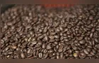 Boletim Agro destaca mercado de café e prêmios no Paraná