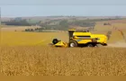 Boletim Agro apresenta balanço do Deral sobre safra e pecuária no PR