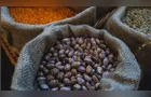 Alta no preço do feijão carioca é destaque no Boletim Agro