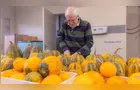 Boletim Agro destaca pesquisa da UEPG com cultivares de abóbora
