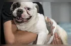 Sargento da PM que atirou em buldogue em BH é liberado