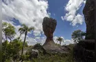 Parque Vila Velha adere à campanha PG Sem Frio e se torna ponto de arrecadação