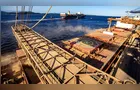 Anec eleva projeção de exportações brasileiras de soja para junho