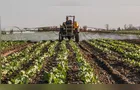 Biodefensivos têm variação de preço de até 77% no Brasil