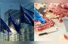 Brasil articula mudanças para garantir envio de carnes à União Europeia