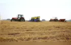 BRDE integra evento sobre o agro em PG para discutir cenários econômicos