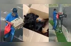 Vídeo mostra homem abandonando filhotes de cachorro em lixeira em Apucarana