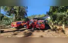 Idoso desaparece após sair para juntar pinhão em Cruz Machado