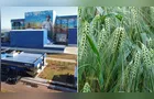 Cevada é alternativa de renda no inverno para produtores paranaenses