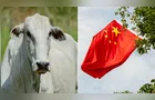 China reconhece território brasileiro como área livre de febre aftosa
