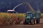 Chuva trava colheita e manejo de safras de grãos no Paraná