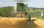 Colheita de soja chega a 99% e começa a do milho safrinha no país