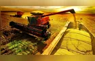 Agro ‘salva’ o PIB enquanto consumo perde força no Brasil, mostra BC