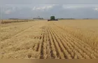 Cooperativas agrícolas dobram participação no PIB do agro