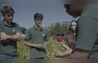 Cooperativismo e força dos municípios impulsionam o agronegócio