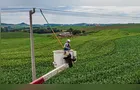 Copel e Crea-PR firmam parceria por segurança energética no campo