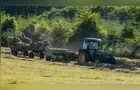 Crédito rural à agroindústria salta 59%, mas investimento recua