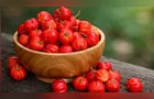 Cultivo de acerola movimenta R$ 13,2 milhões no campo paranaense