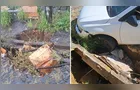 Morador denuncia buraco em rua do bairro Órfãs em PG e cobra providências