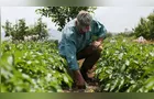 Emissão do Cadastro de Imóvel Rural 2026 já começou e vai até junho