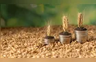 Estoque de Cédulas de Produto Rural atinge R$ 565 bilhões em maio