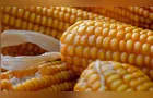 Etanol eleva consumo interno de milho que deve atingir recorde em 2026