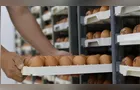 EUA barram ovos do Brasil, mas Paraná cresce e mantém vice-liderança