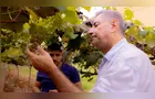 Eventos fortalecem parcerias e projetam atuação da UEPG na fruticultura