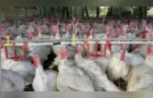 Paraná expande receita com exportação de carne de peru