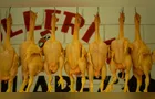 Exportações de frango batem recorde no primeiro semestre