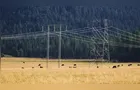 Fetaep repudia reajuste de 20,51% na energia do Paraná