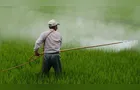 Governo lança plataforma para unificar registro de agrotóxicos