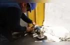 Hidrômetros: equipamentos atuais são resistentes ao frio, mas exigem cuidados
