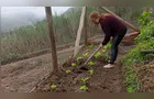 IDR-Paraná instala hortas em Campo Largo para segurança alimentar