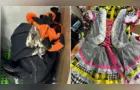 Moradores tentam localizar dono de roupas recuperadas após furto em comércio de PG