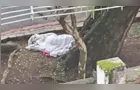 Confundida com cadáver no Centro de Curitiba, mulher desaparecida é encontrada viva