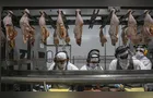Paraná lidera abate recorde de frangos no 1º trimestre