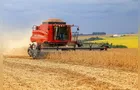 Paraná registra 2º maior rendimento de safra de soja em 2025/2026