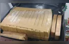 Passageira é presa com 24 quilos de maconha em ônibus com destino a Ponta Grossa