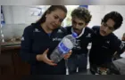 Mais de 93% dos peixes vendidos no litoral do Paraná têm microplástico