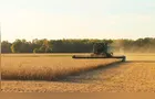 PIB da agropecuária avança 2% no 1º trimestre e atinge R$ 230,4 bilhões