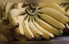 Preços da banana recuam nas Ceasas brasileiras em maio