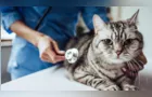 Prefeitura abre edital para a Clínica Veterinária Municipal em Ponta Grossa